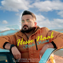 دانلود آهنگ جدید سپهر صارمی به نام حس ناب